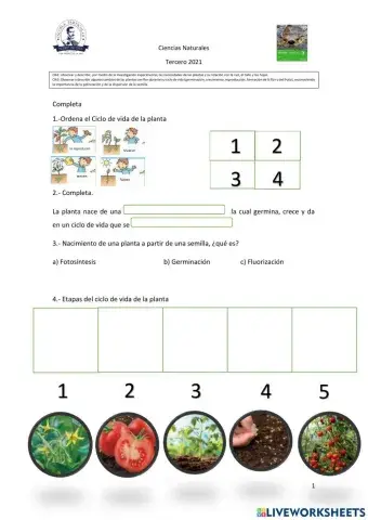 Ciclo de vida de la Planta