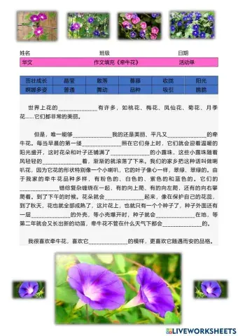 作文填充《牵牛花》