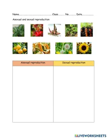 Sexual and asexual reprodution of plant