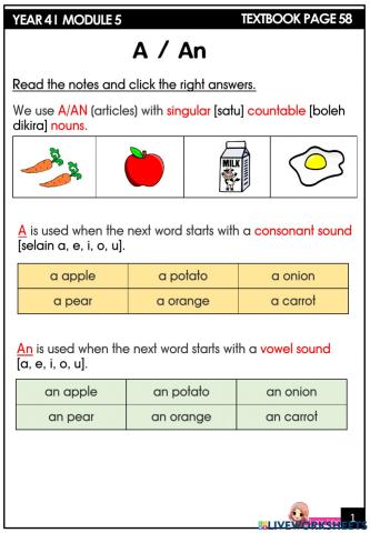 Year 4 module 5 - an an some any -grammar