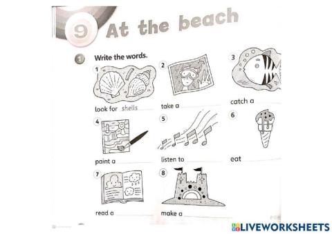 Unit 9 - at the beach