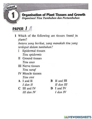 Organisasi tisu tumbuhan dan pertumbuhan