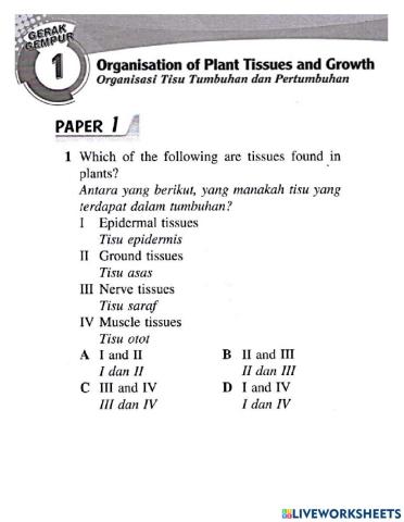 Organisasi tisu tumbuhan dan pertumbuhan