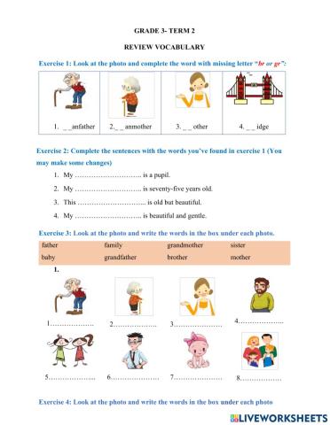 Grade 3- review vocab- ki2