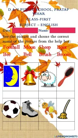 See The Picture Write the name