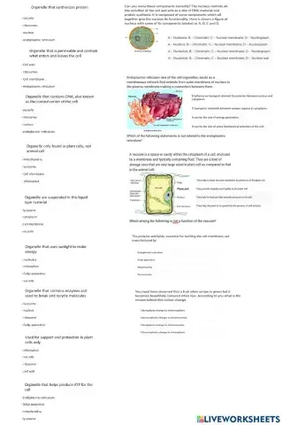 Cell organells functions