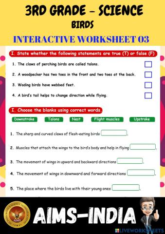 3rd-science-ps03-birds