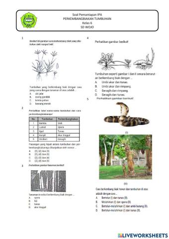 Pemantapan IPA PERKEMBANGBIAKAN TUMBUHAN