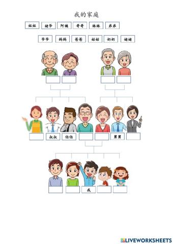 我的家庭-复习