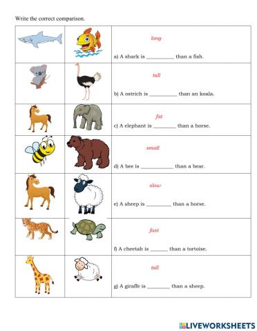 Fam 2 Unit 13 comparison