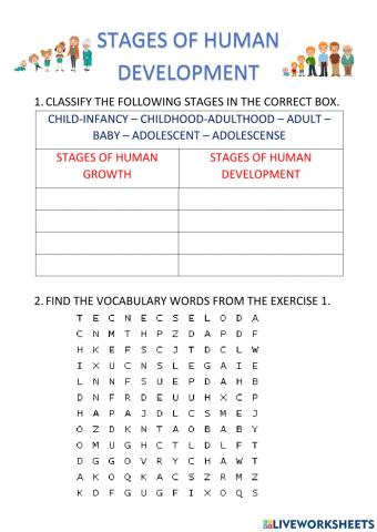 Stages of human development