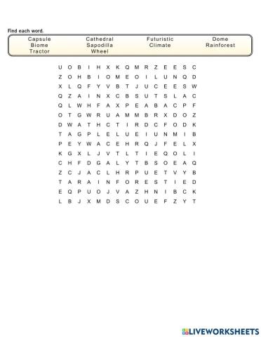 CP8 Unit 2: Word Search