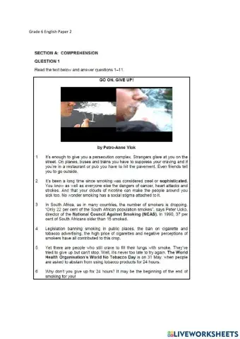 Grade 6 English exam paper 2