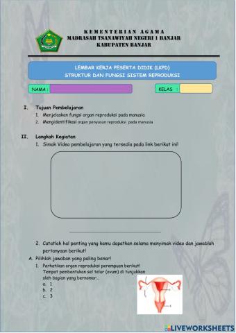 Sistem Reproduksi Pada Maanusia