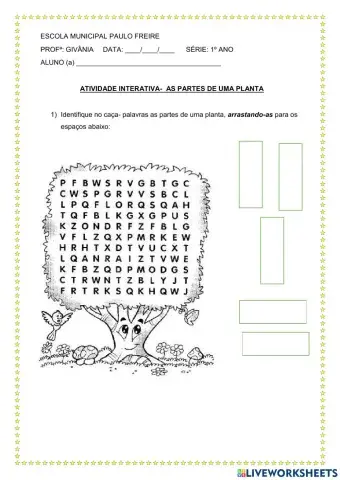 Atividade interativa- 2 ano  As Partes da planta