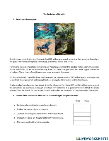 The Evolution of Reptiles