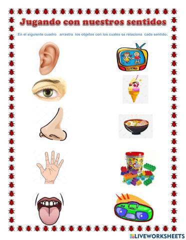 Ficha de los sentidos