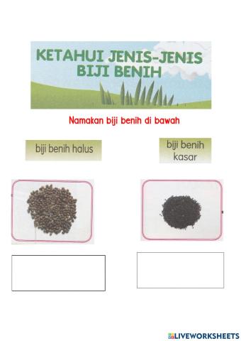 Jenis-jenis biji benih