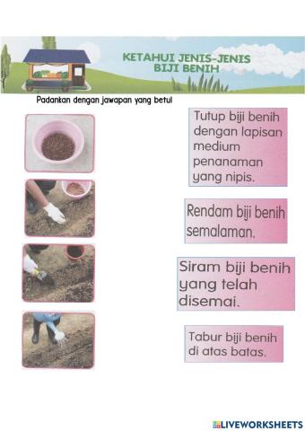 Cara tanam biji benih