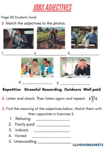 Jobs adjectives