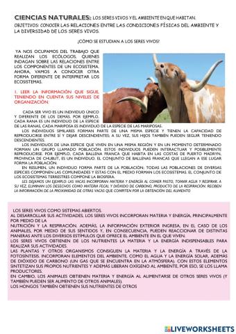 Los seres vivos y el ambiente que habitan