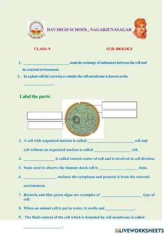 Cell - structure and function