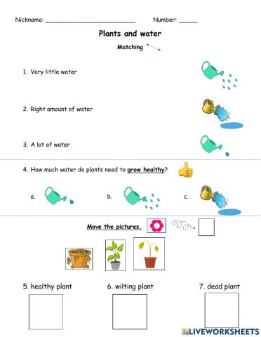 Plants and water