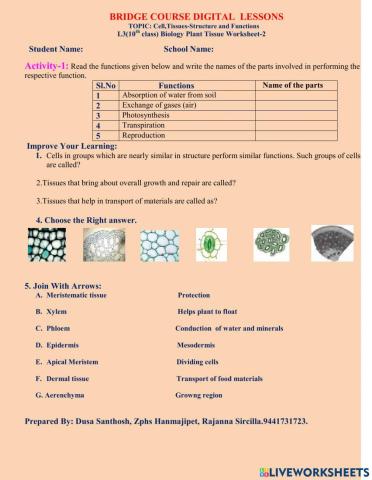 TOPIC: Cell,Tissues-Structure and Functions