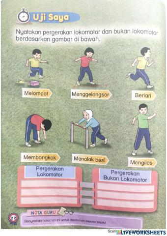 Lokomotor dan bukan lokomotor