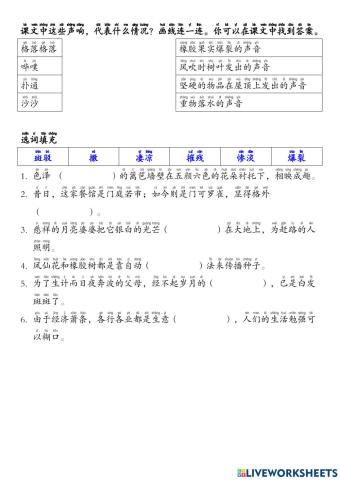 橡胶果实爆裂的季节