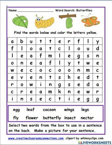 Butterfly life cycle