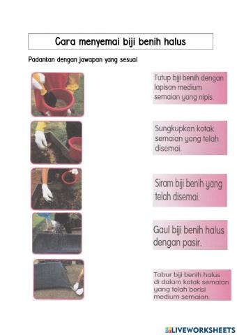 Menyemai biji benih halus