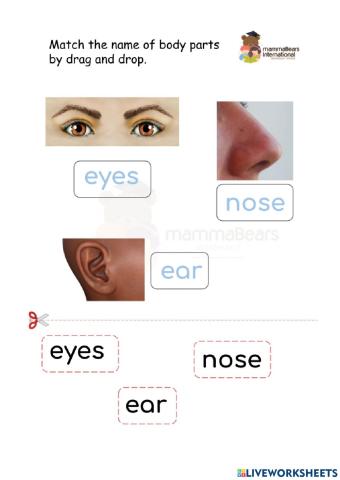 Practice Names of Body Parts 1