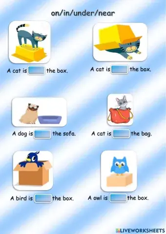 On in under near writing task