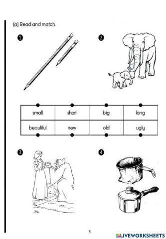 Let's play : Adjectives