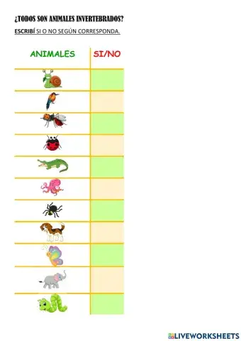 Animales invertebrados