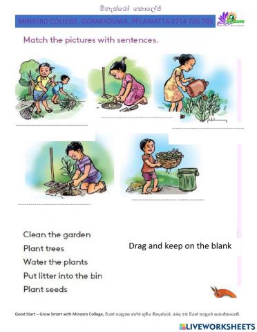 Minasro College - English for primary classes