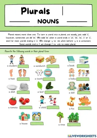 Plural Nouns