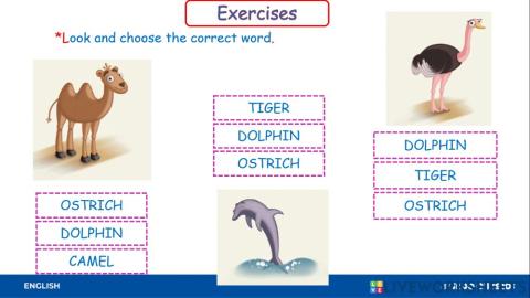 Wild animals unit 5 -4to grade