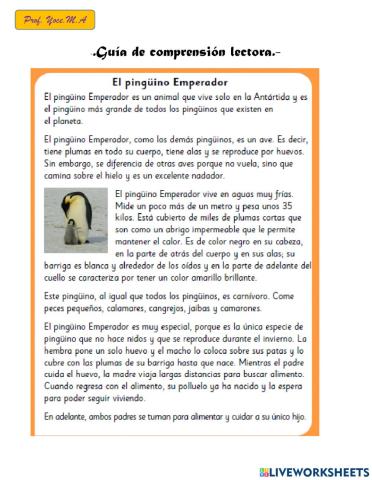 Comprensión lectora -El pingüino emperador-