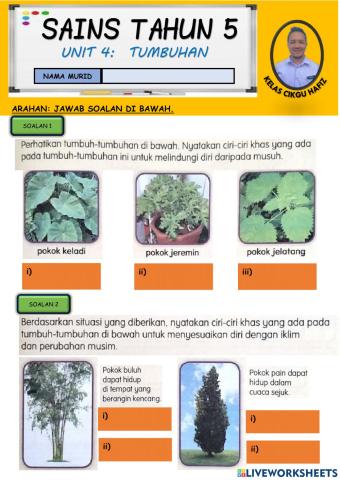 Tumbuhan Tahun 5