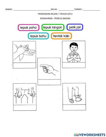 Kemahiran perkusi badan