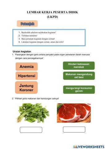 Tema 4 Subtema 3-IPA