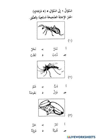 Latih Tubi Bahasa Arab 1-20