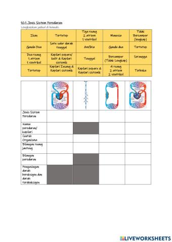 10.1 Jenis Sistem Peredaran Darah