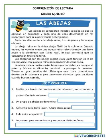 Comprensión de lectura