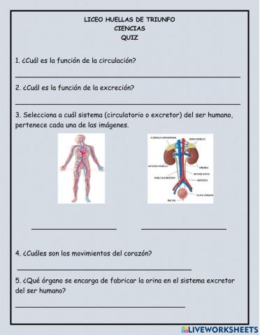 Quiz Ciencias