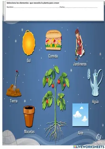 Seleccionar lo que se utiliza para las plantas