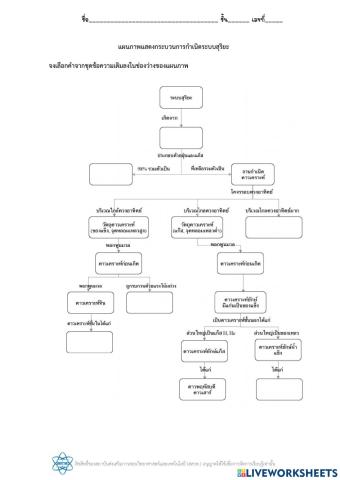 ระบบสุริยะ