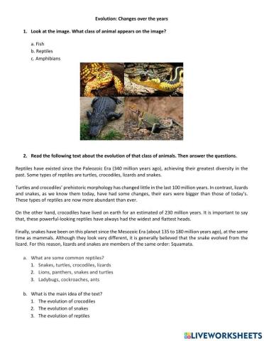 Evolution: Changes over the years